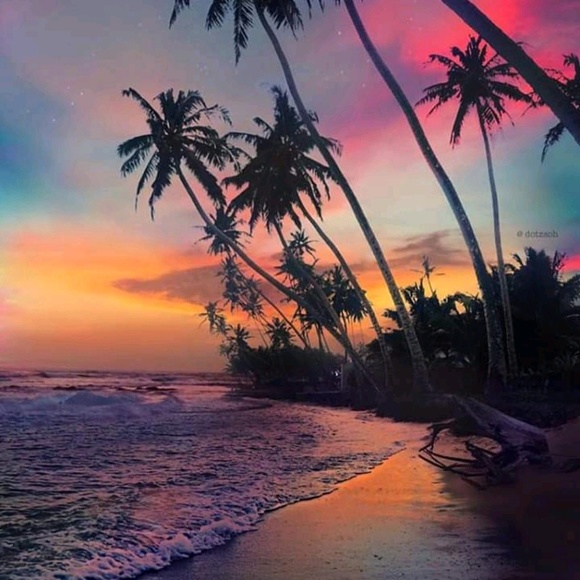 Meet your Posher, Lynnette - Picture 1 of 1